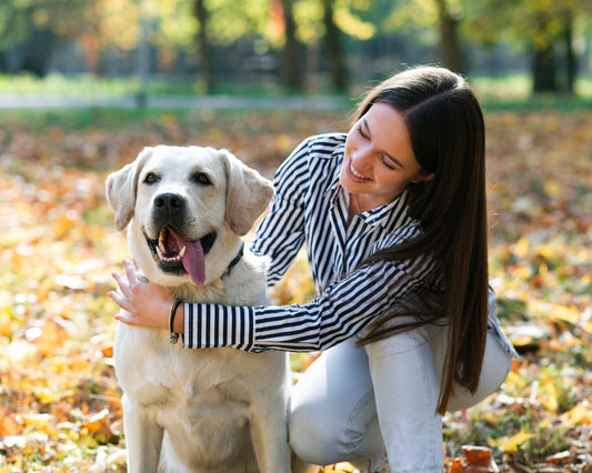 The Ultimate Guide to Choosing the Perfect Pet for Your Lifestyle