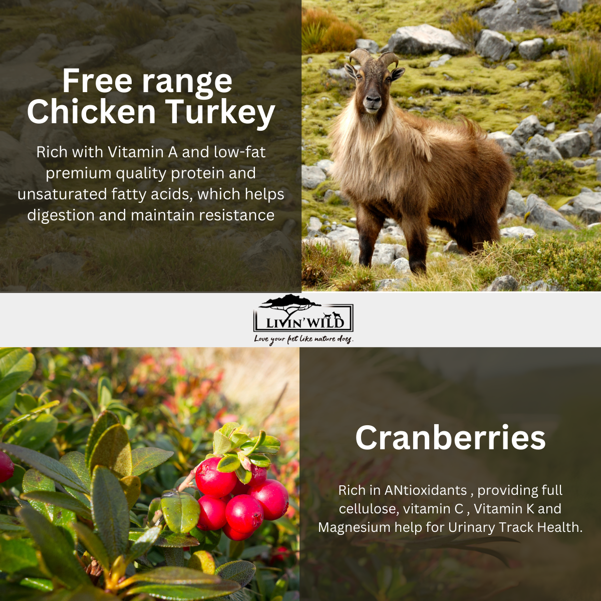 LIVIN' WILD Natural CAT Food|Goat Shepard's Pot|Lamb & Goat Recipe|450g & 1.8kg