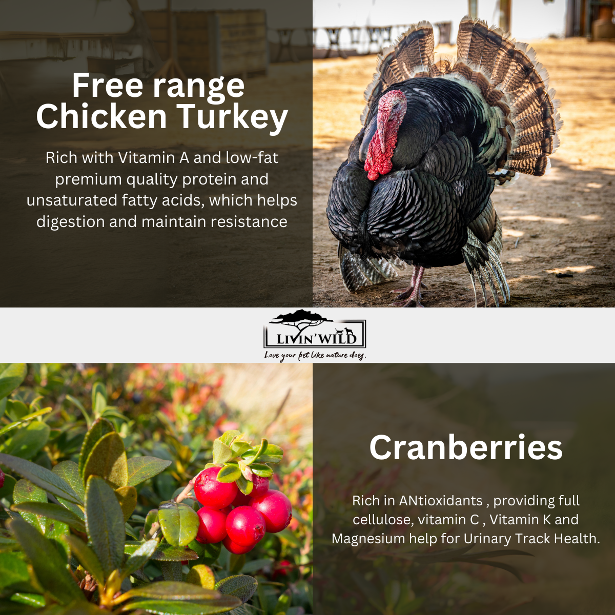 LIVIN' WILD Natural CAT Food|Turkey Cacciatore|Turkey & Chicken Recipe|450g & 1.8kg