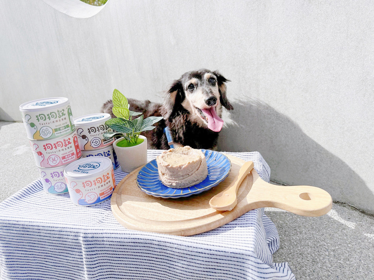 DOG SAYS TASTY Complete Canned DOG Food|Beef & Pumpkin|Urinary Care Recipe|165g