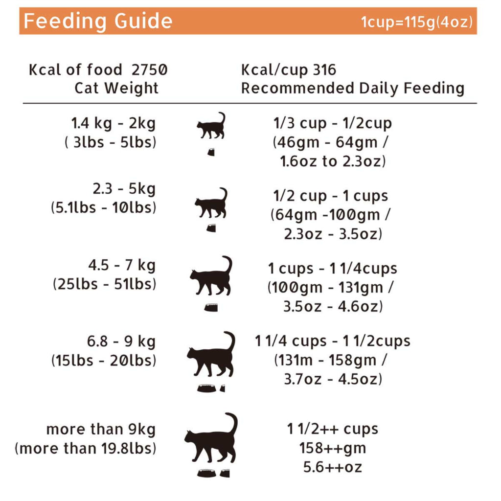 LIVIN' WILD Natural CAT Food|Ocean Salmon Bounty|Salmon Recipe|450g & 1.8kg